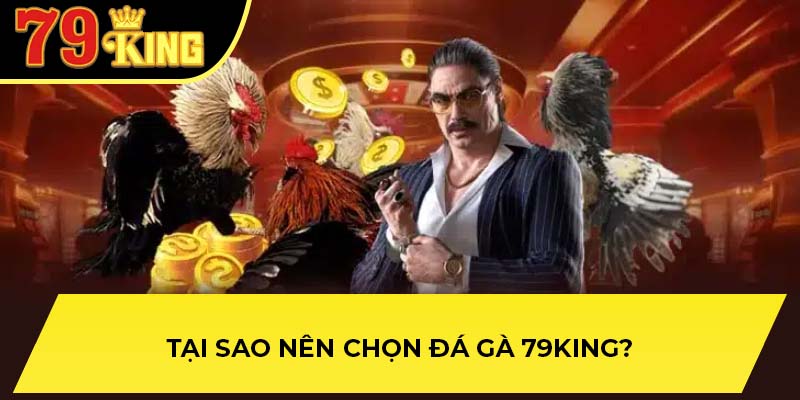 Tại sao nên chọn đá gà 79King?